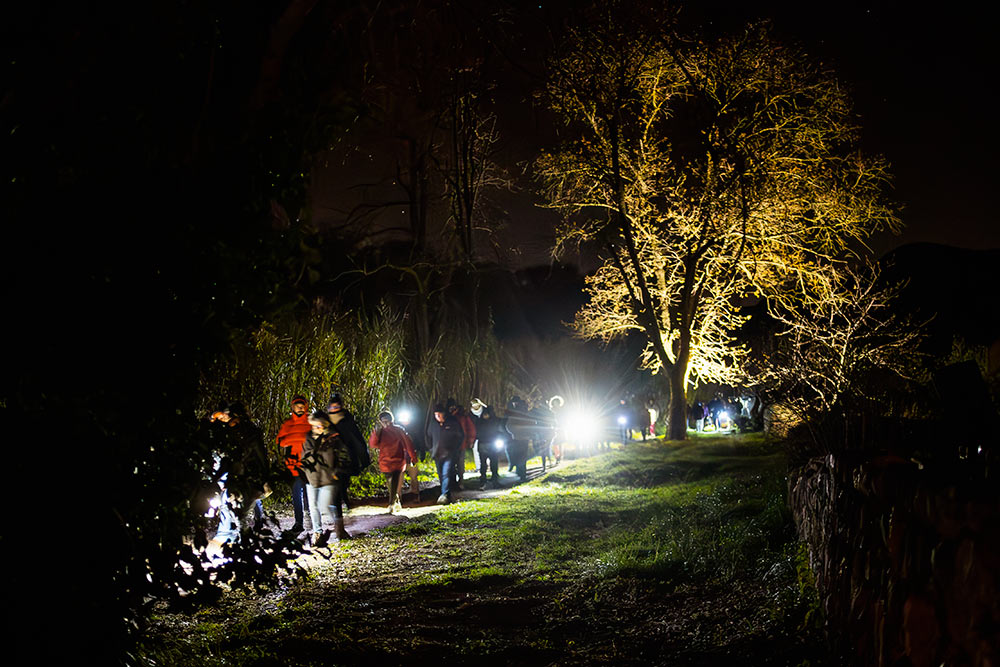 1-Croire-aux-fauves---101-©Kalimba Marche d'approche