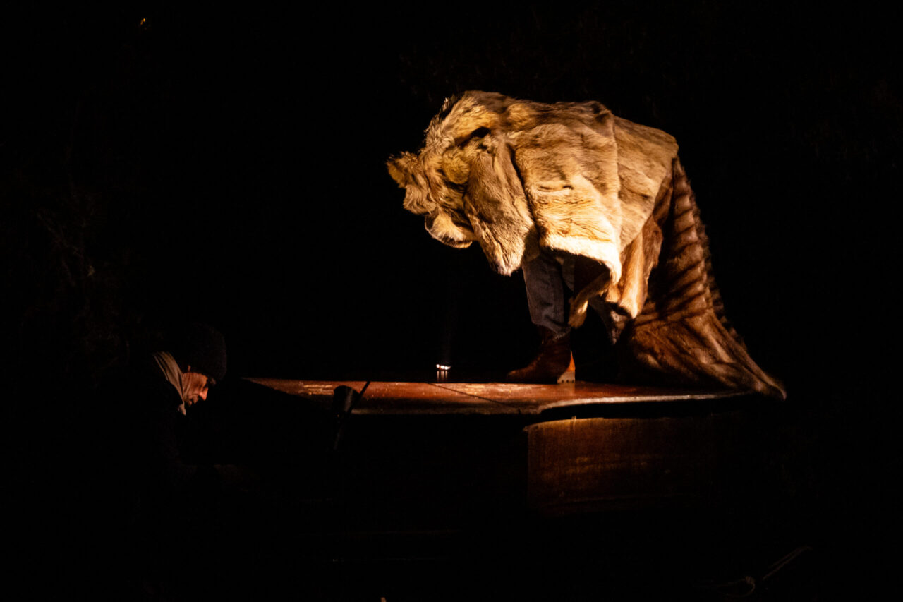 Croire aux Fauves 036 ©Kalimba