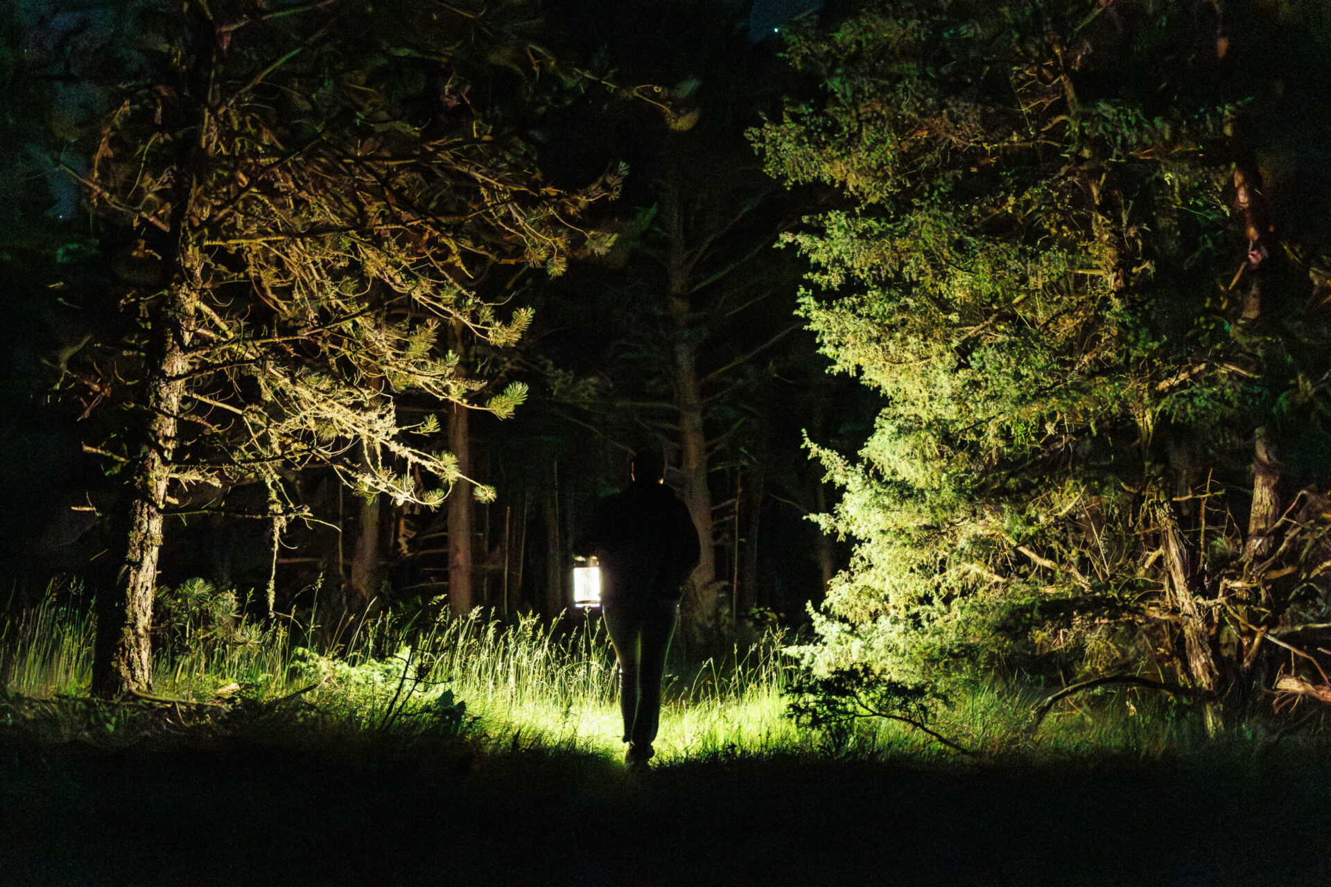 Croire aux Fauves 069 ©Kalimba