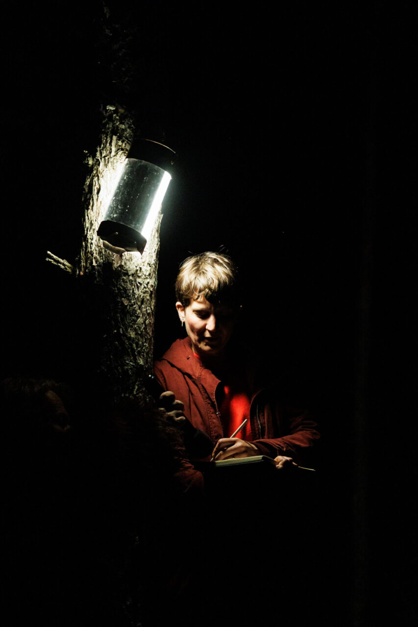 Croire aux Fauves 102 ©Kalimba